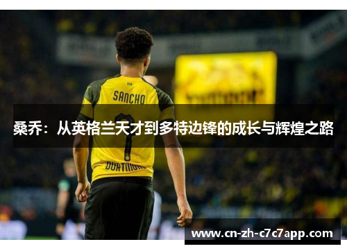 桑乔：从英格兰天才到多特边锋的成长与辉煌之路