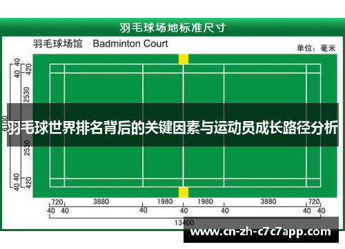 羽毛球世界排名背后的关键因素与运动员成长路径分析