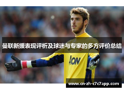 曼联新援表现评析及球迷与专家的多方评价总结