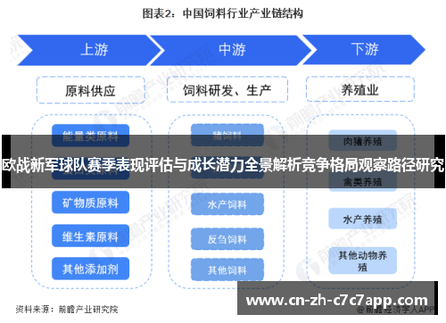 欧战新军球队赛季表现评估与成长潜力全景解析竞争格局观察路径研究